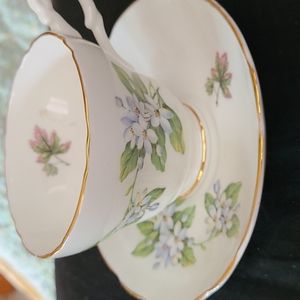 Regency Bone China Cup and Saucer